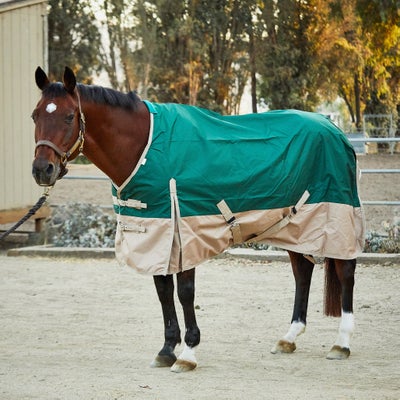 Intrepid Free Runner 600D Rain Sheet/Turnout Blanket 0G