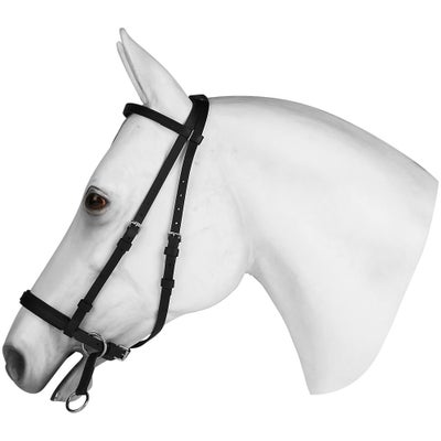 Dr. Cook Beta BioThane Bitless Bridle Headstall