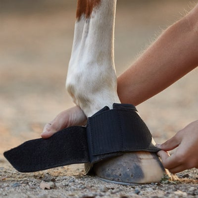 LeMieux Leather WrapRound Over Reach Bell Boots