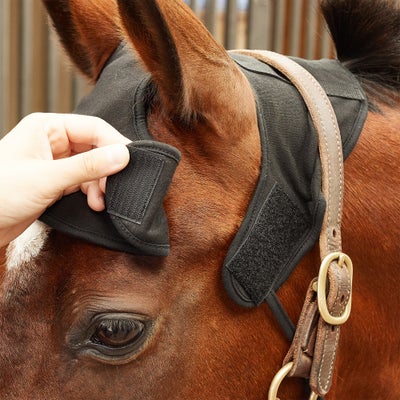Back On Track Therapeutic Atlas/Axis Equine Head Cap
