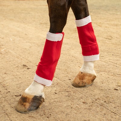Tough 1 Holiday Santa Leg Wraps-4 Piece