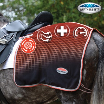 WeatherBeeta Ceramic Therapy-Tec Exercise Quarter Sheet