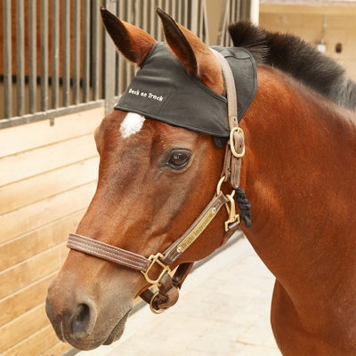 Back On Track Therapeutic Atlas/Axis Equine Head Cap