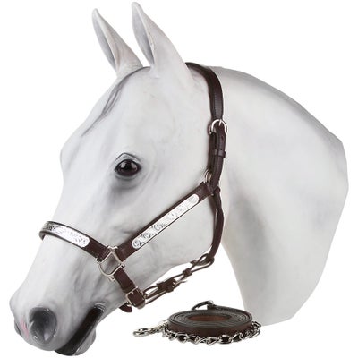 Tory Oklahoma Western Show Halter & Lead Yearling