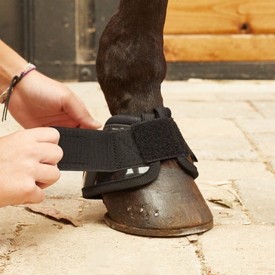 Back On Track Therapeutic Performance Bell Boots
