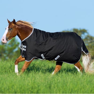 Horseware Amigo Stock Horse Turnout Blanket Lite 0G