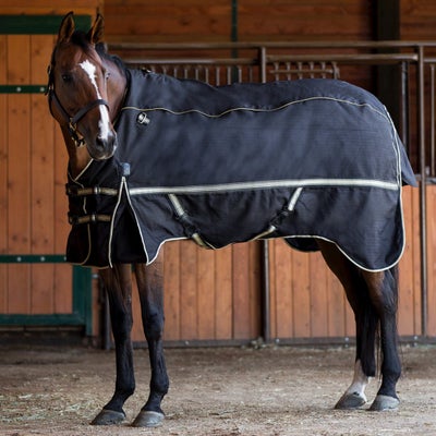 Noble Outfitters Guardsman 4-in-1 Turnout Blanket 1800D