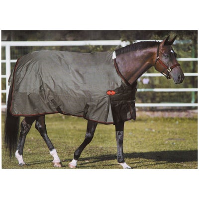 Big D Sussex Lite Waterproof Turnout Blanket 100G