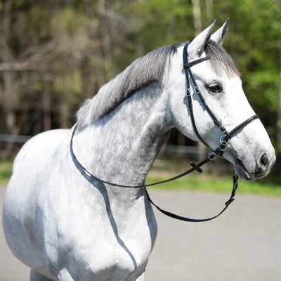 Horze Leather Bitless Bridle with Web Reins