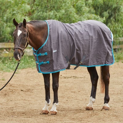 Loveson Lightweight Wicking Summer Stable Day Sheet