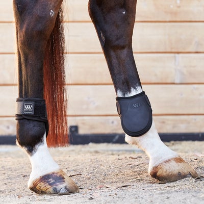 Woof Wear Pro II Fetlock Boots