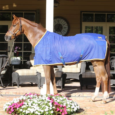 Acuswede Horse Cooler Acupressure Accuhorsemat Kit