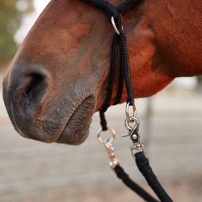 Tory Poly Bitless Bridle w/Reins
