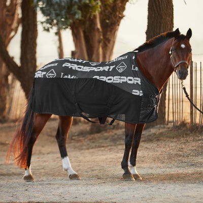 LeMieux Carbon Airflow Horse Cooler/Sheet