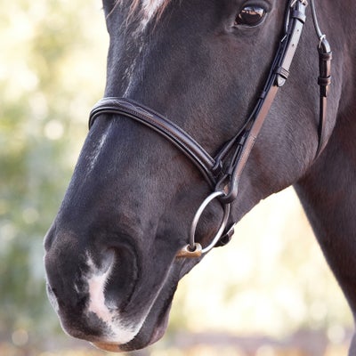 Bobby's Tack Fairhaven Fancy Raised Padded Bridle