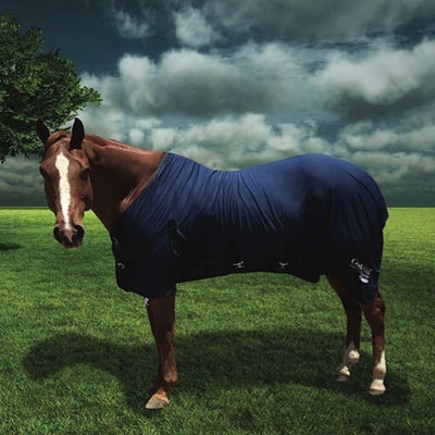 Coolaid Equine Cooling Blanket