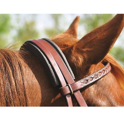 Cashel Foam Cavesson/ Crown Pad Channel Guard