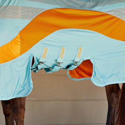 Horseware Amigo Evolution Fly Sheet w/Neck Cover