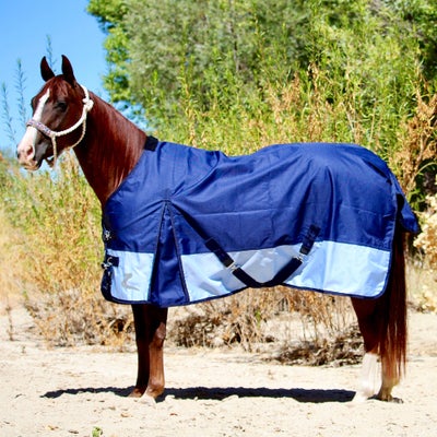Riding Warehouse Legacy 1200D Turnout Blanket 0g-DEAL!