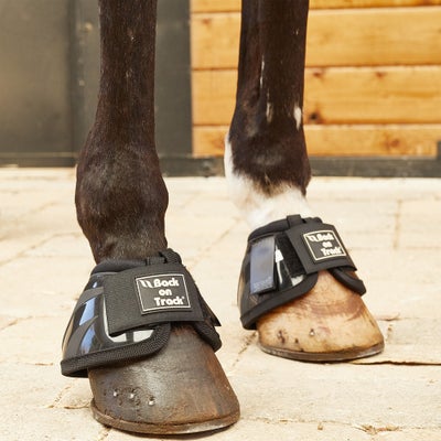 Back On Track Therapeutic Performance Bell Boots