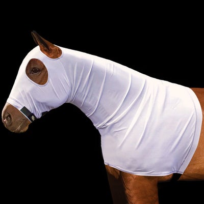 Sleazy Sleepwear Power Net Stretch Mesh Neck Hood