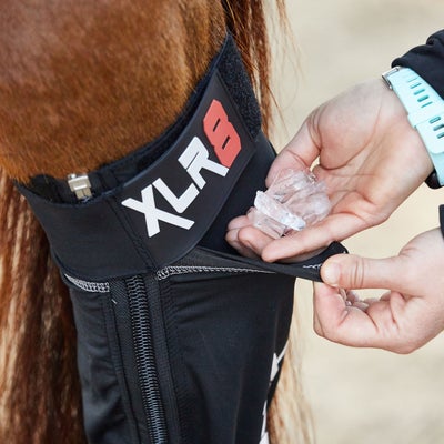 XLR8 Cryotherapy Ice+Compression Hind Boots