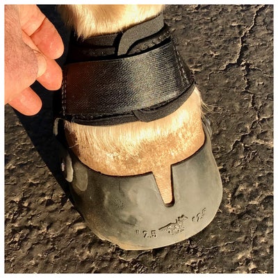 EasyCare EasyBoot Glove Soft Hoof Boot
