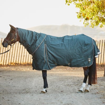 B Vertigo Georgina Med. Weight DAN Turnout Blanket 250g