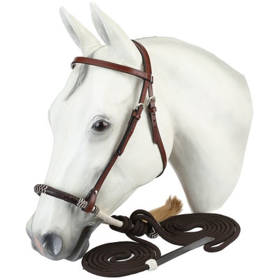 Royal King Browband Bosal Headstall with Mecate Reins