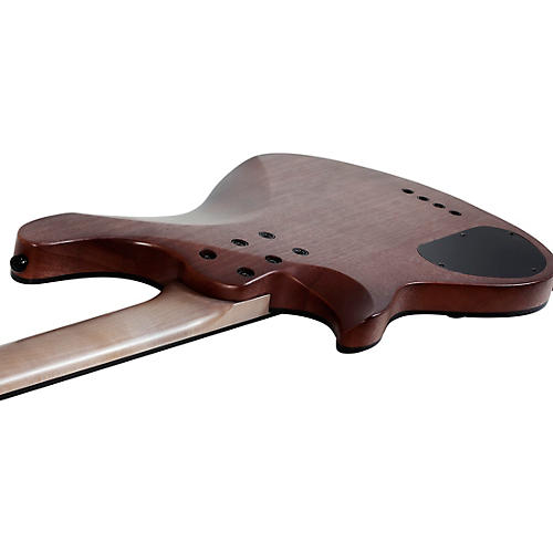 Schecter Guitar Research Omen Elite-4 4-String Electric Bass Guitar See-Thru Blue Burst