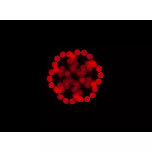 American DJ Focus Spot 5Z LED Light