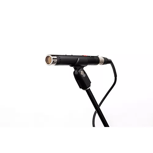 Lauten Audio LA-120 Transformerless Pair of Condenser Microphones