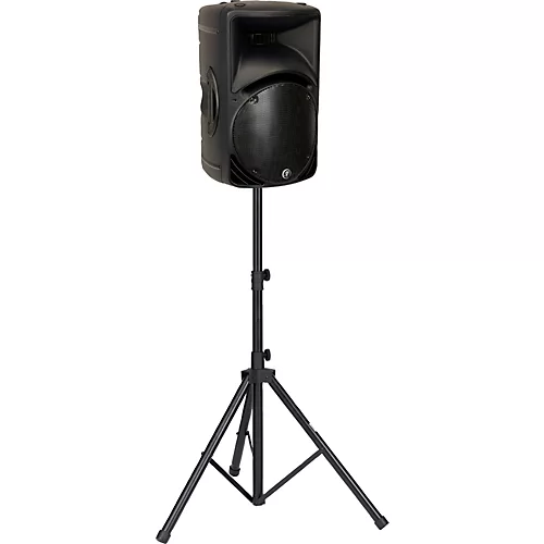 Mackie C300z Passive Speaker (Black)