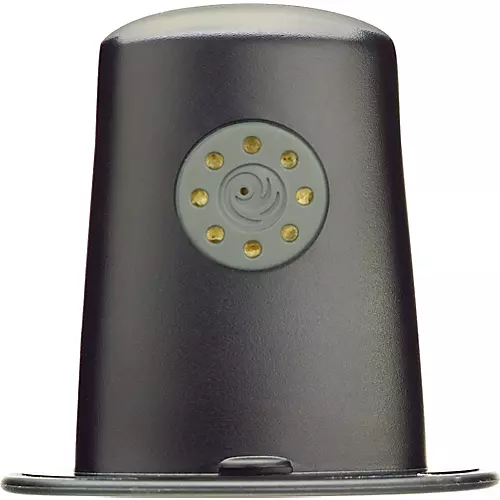 D'Addario Acoustic Guitar Humidifier