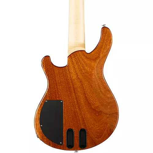 PRS Grainger 10-Top 5-String Bass Eriza Verde