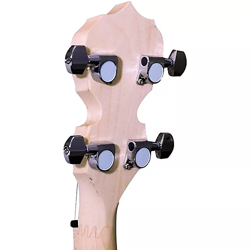Deering Goodtime Two Resonator Banjo