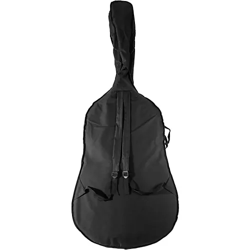 Scherl and Roth SR68 Sarabande Series Intermediate Double Bass Outfit 3/4