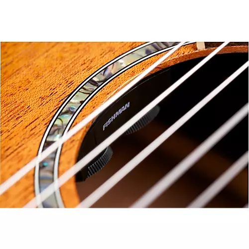 Cordoba C4-CE Classical Acoustic-Electric Guitar Antique Charcoal Burst