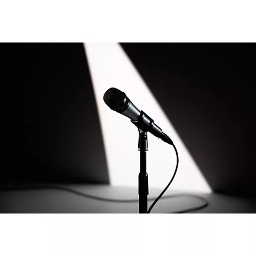 Sennheiser e 835 Cardioid Dynamic Vocal Microphone