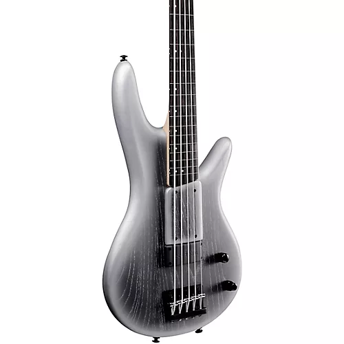 Ibanez GWB25TH Gary Willis Signature 5-String Electric Bass Silver Wave Burst Flat