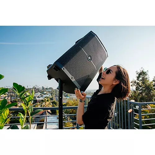 Mackie Thump210XT 10