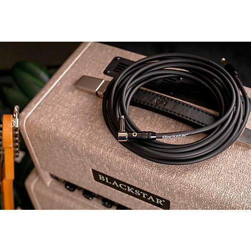 Blackstar Professional Straight to Angle Cable 10 ft. Black