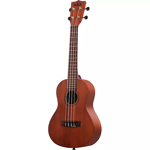 Kala Learn To Play Concert Ukulele Starter Kit