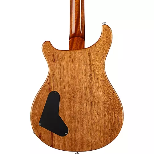 PRS Paul's Guitar Electric Guitar Red Tiger