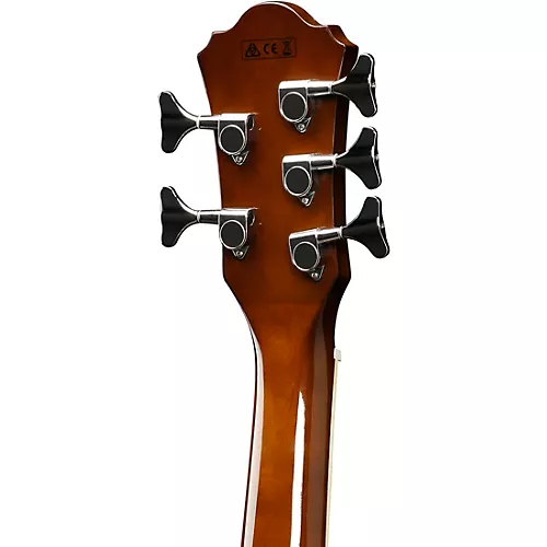 Ibanez AEB105E 5-String Acoustic-Electric Bass Guitar Gloss Natural