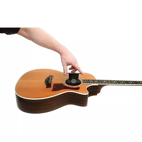 D'Addario Acoustic Guitar Humidifier