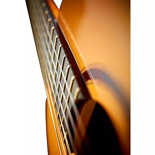 Ortega Custom Master M5CS All-Solid Classical Guitar Gloss Natural 4/4