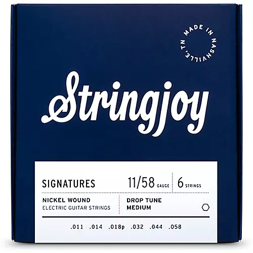 Stringjoy Signatures 6 String Nickel Wound Electric Guitar Strings 9 - 46