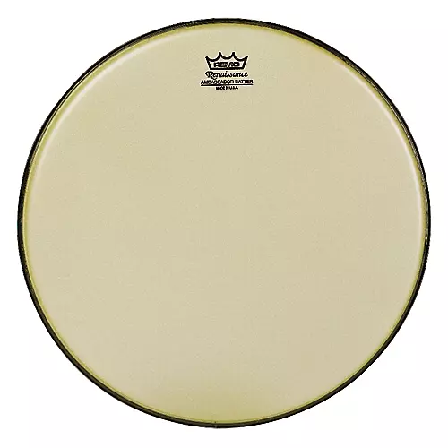 Remo Renaissance Ambassador Tom Batter 10 in.