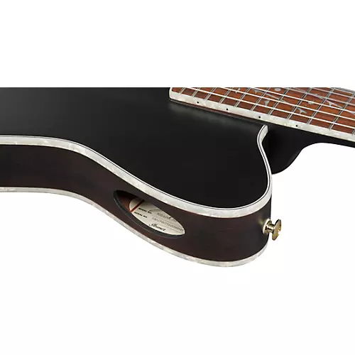 Ibanez TOD10NL Tim Henson Signature Left-Handed Nylon-String Acoustic-Electric Guitar Transparent Black Flat